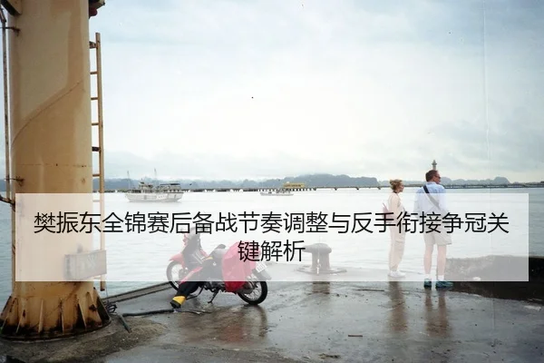 樊振东全锦赛后备战节奏调整与反手衔接争冠关键解析