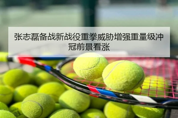 张志磊备战新战役重拳威胁增强重量级冲冠前景看涨